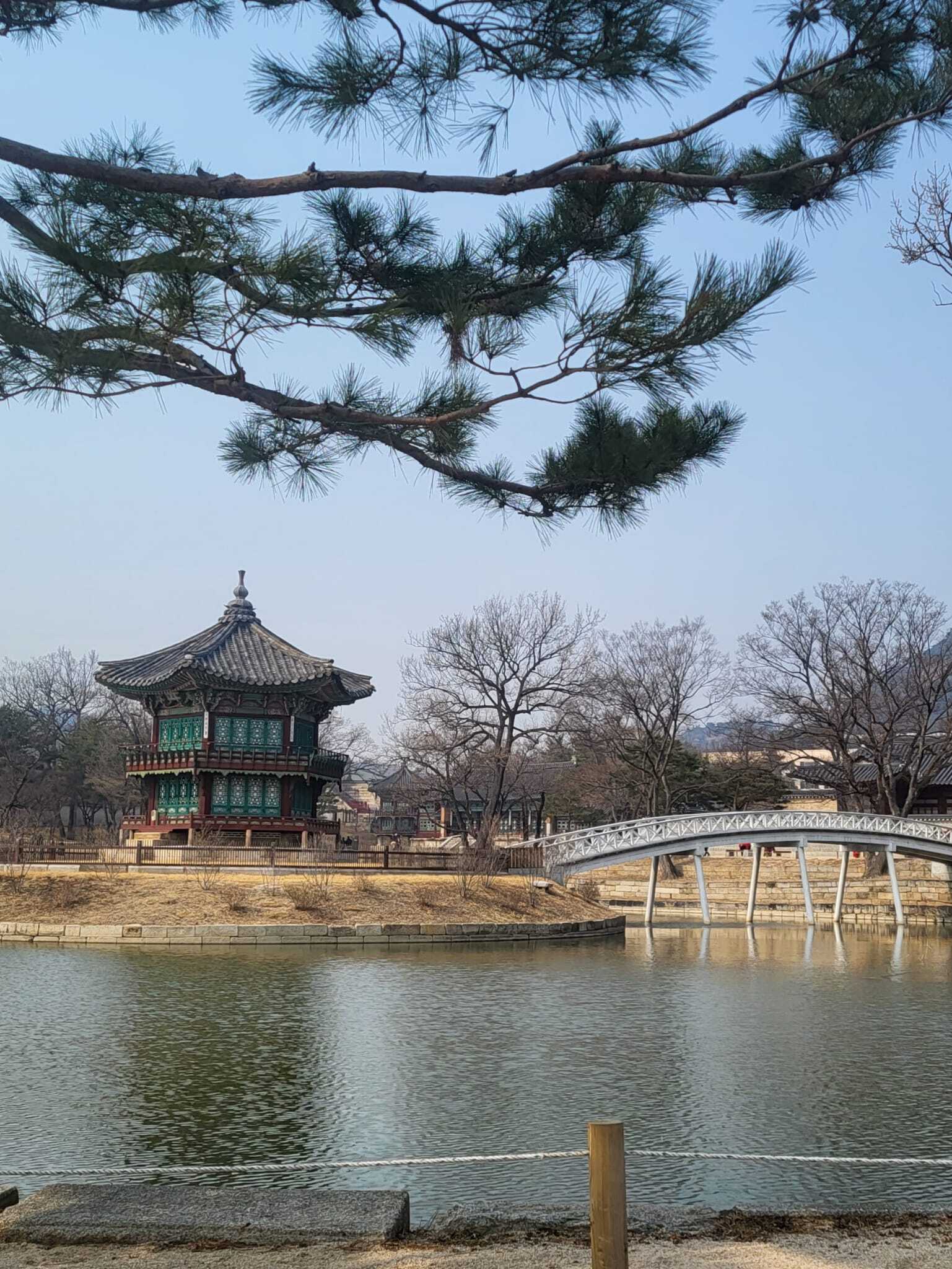 Our Adventures in Korea