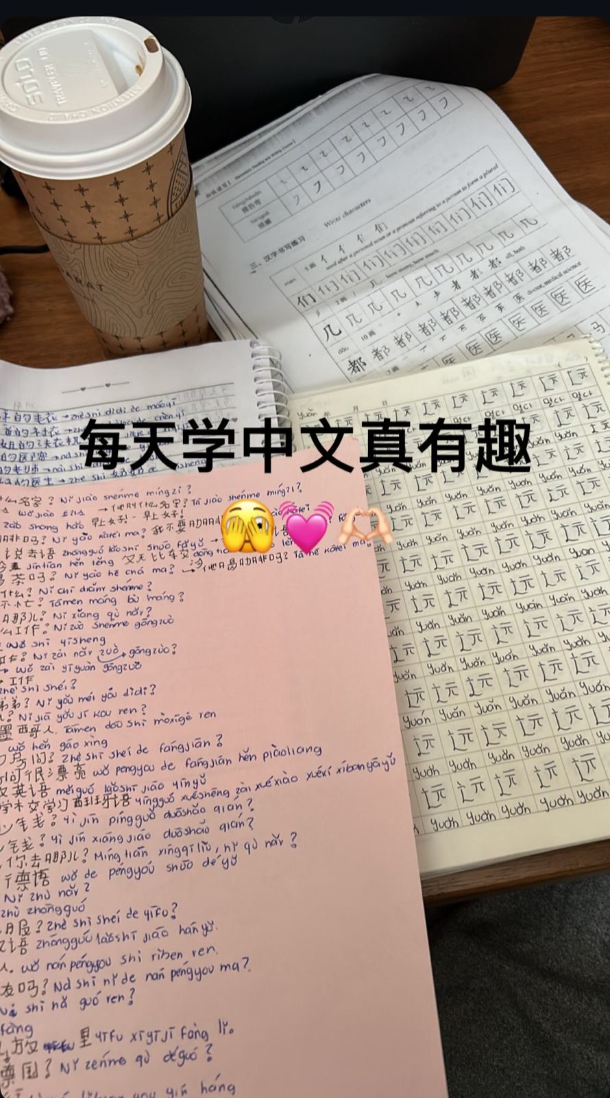 From Zero to Basic IN Chinese:Teri’s Step-by-Step Language Journey